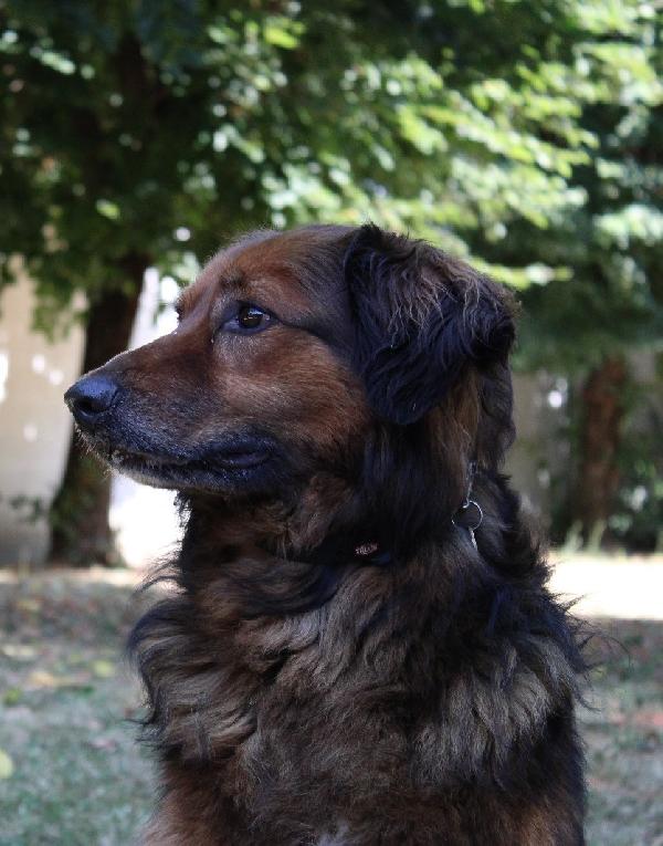 JOHN BELLISSIMO IN CERCA DI CASA Foto 2